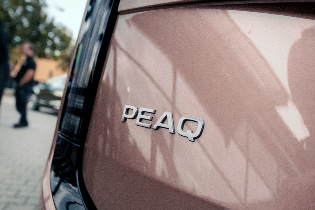 Peaq Ausschnitt