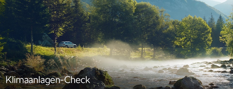 Klimaanlagen-Check Plus
