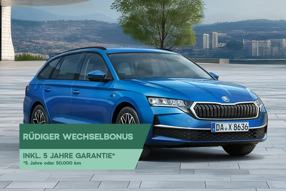 blauer Octavia Combi